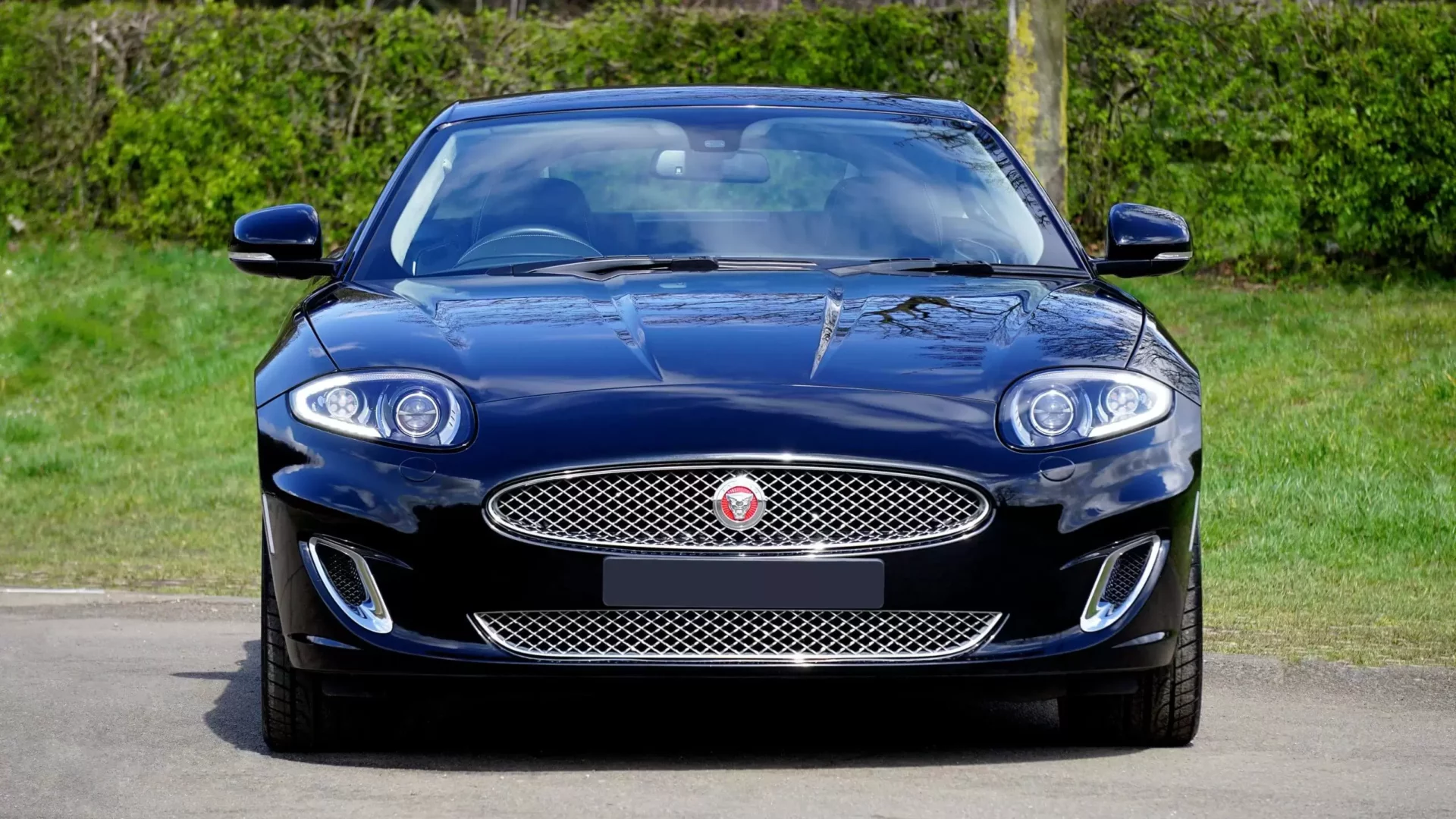 Jaguar Car Blue